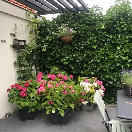 Bed & Breakfast Diemerbrug Bed and Breakfast