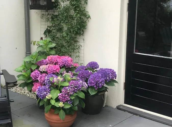 Nocleg ze śniadaniem Bed & Breakfast Diemerbrug 3*