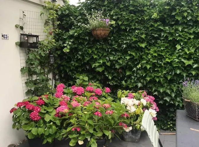 Bed & Breakfast Diemerbrug Bed & Breakfast