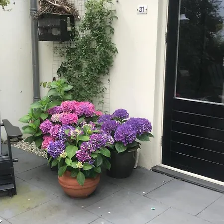 Nocleg ze śniadaniem Bed & Breakfast Diemerbrug *